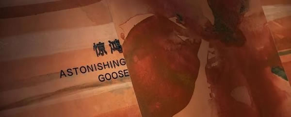 中国整木网 中国整木网