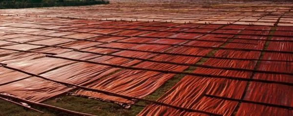 中国整木网 中国整木网