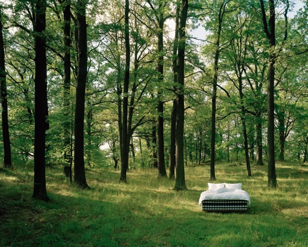 中国整木网 中国整木网