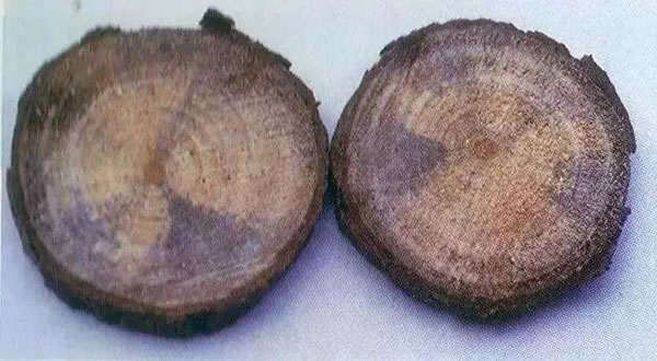 中国整木网 中国整木网