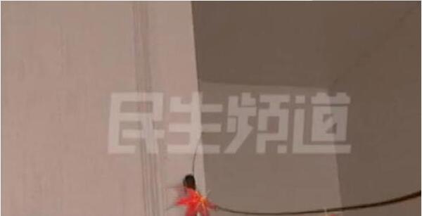 中国整木网 中国整木网