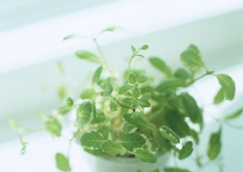 中国整木网 中国整木网