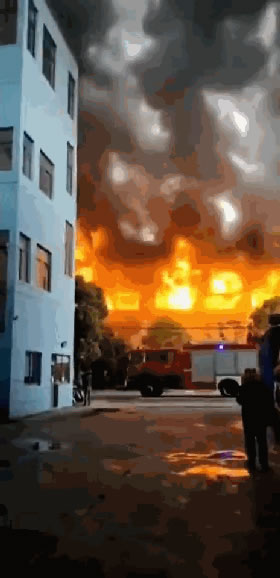 中国整木网 中国整木网