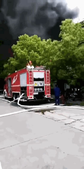 中国整木网 中国整木网