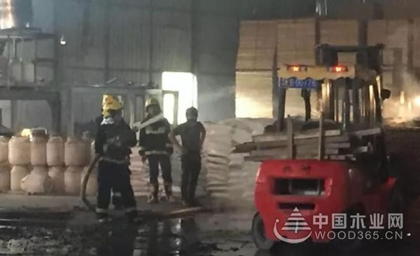 中国整木网 中国整木网