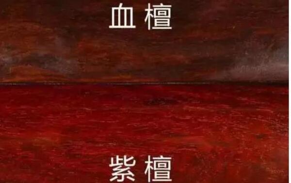 中国整木网 中国整木网