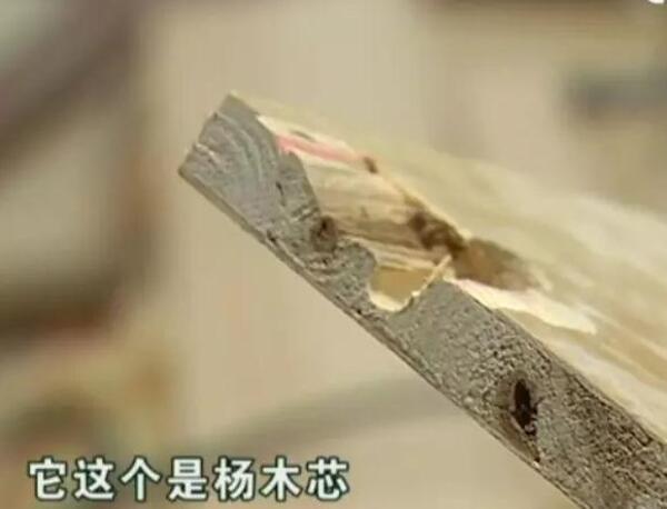 中国整木网 中国整木网