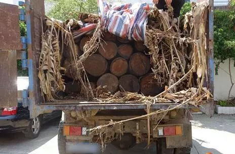 中国整木网 中国整木网