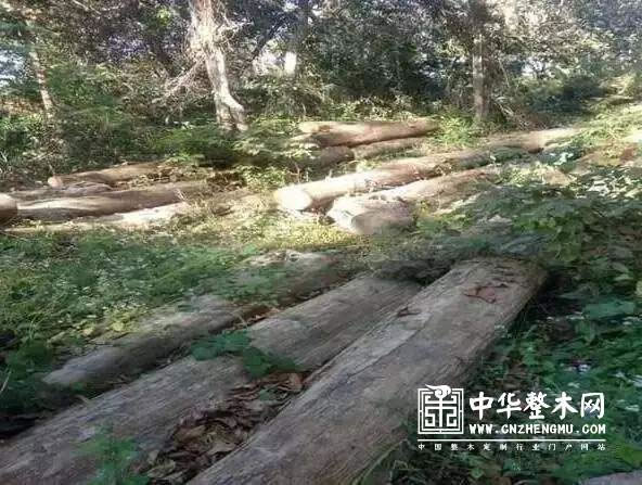 中国整木网 中国整木网