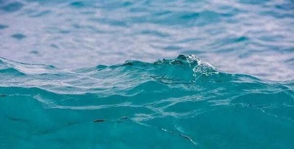 中国整木网 中国整木网