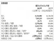 红星美凯龙2023年收入115.2亿元,持有货币资金25.3亿元