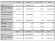 大亚圣象2023年净利3.33亿,同比下滑20.84%!
