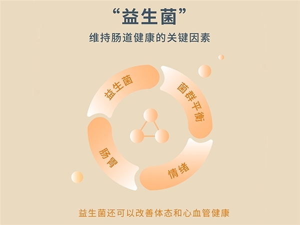 中国整木网 中国整木网