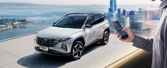 中国整木网 中国整木网