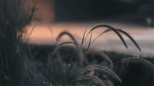 中国整木网 中国整木网