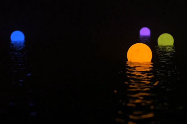 中国整木网 中国整木网