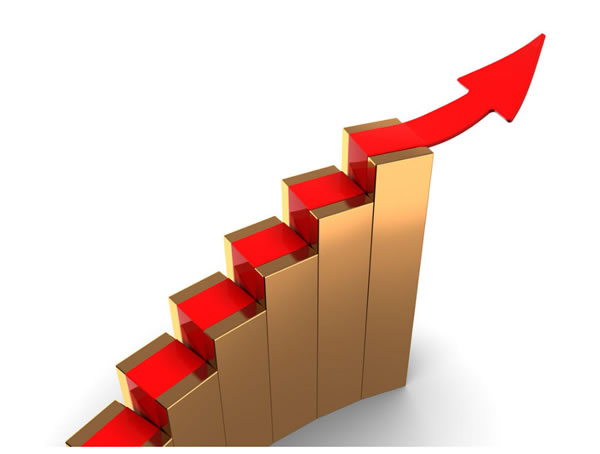 中国整木网 中国整木网