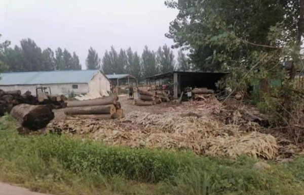 中国整木网 中国整木网