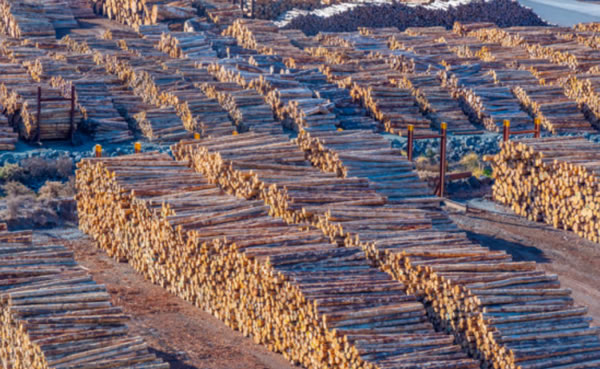 中国整木网 中国整木网