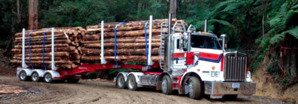 中国整木网 中国整木网