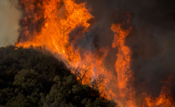 中国整木网 中国整木网