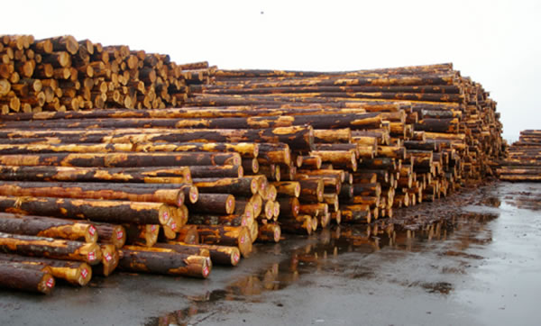 中国整木网 中国整木网