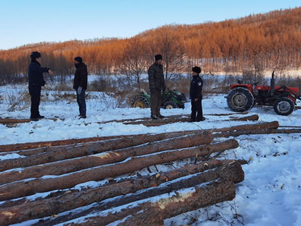 中国整木网 中国整木网