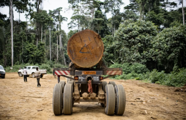 中国整木网 中国整木网