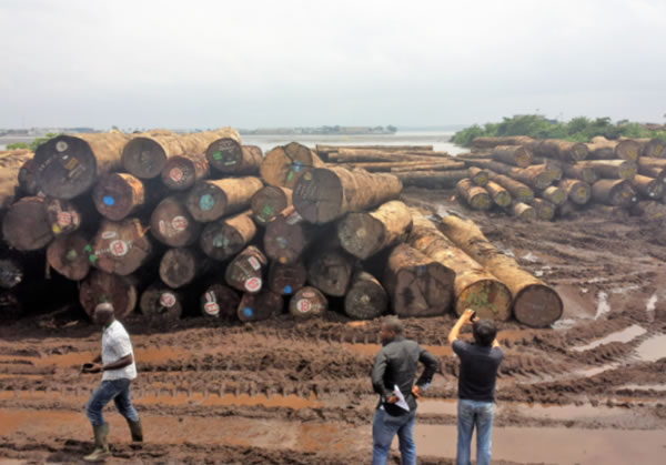 中国整木网 中国整木网