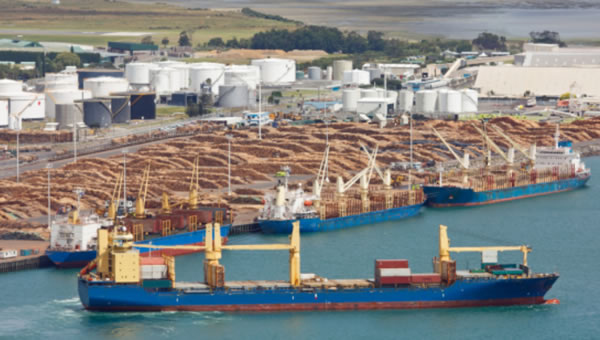 中国整木网 中国整木网