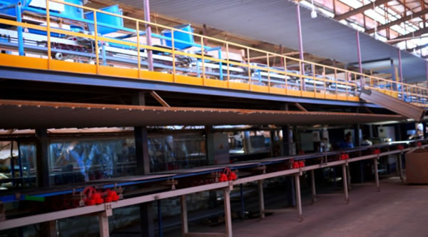 中国整木网 中国整木网