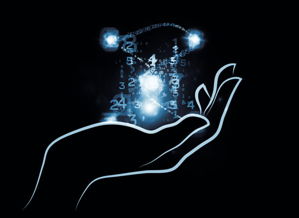 中国整木网 中国整木网