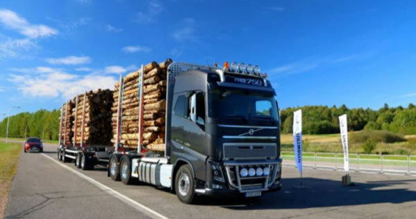 中国整木网 中国整木网