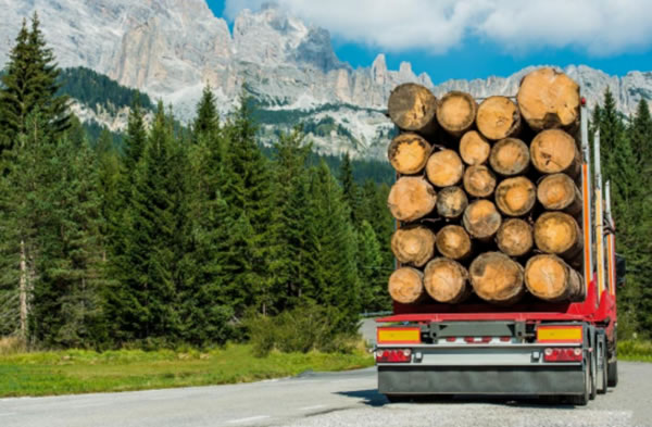 中国整木网 中国整木网