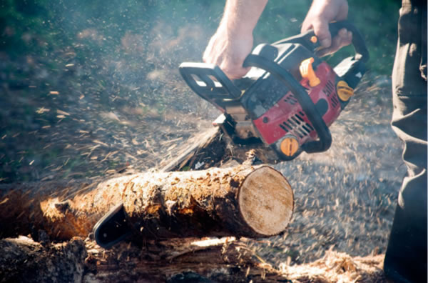 中国整木网 中国整木网