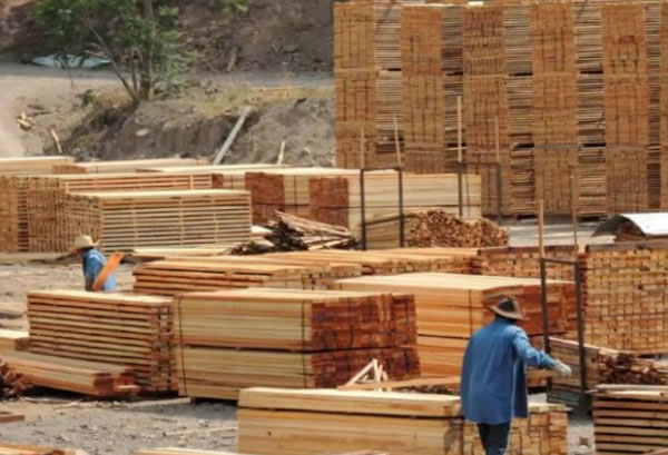 中国整木网 中国整木网