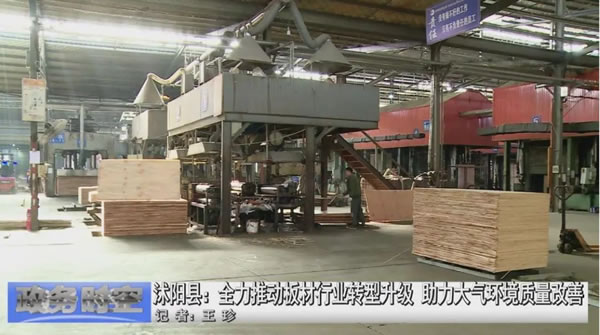 中国整木网 中国整木网