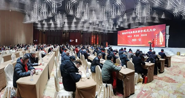 中国整木网 中国整木网