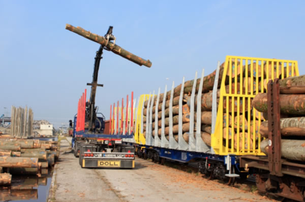 中国整木网 中国整木网