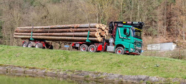 中国整木网 中国整木网