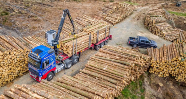 中国整木网 中国整木网