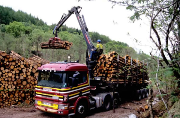 中国整木网 中国整木网