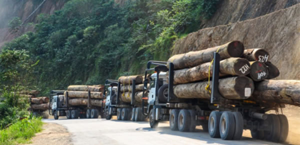 中国整木网 中国整木网