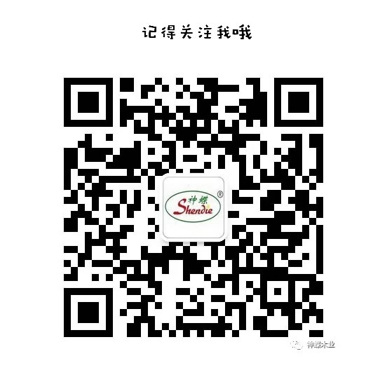 中国整木网 中国整木网