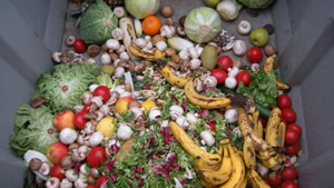 2025年厨余垃圾处理器排行榜:2025年厨余垃圾处理器选购指南:谁是真正的“中餐克星”?